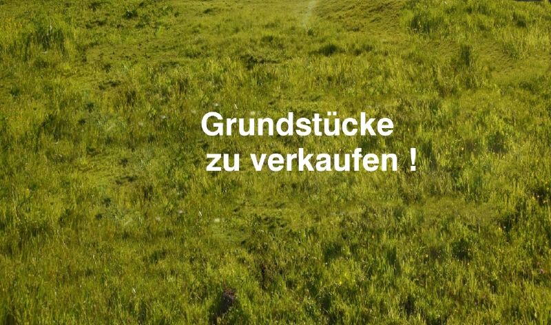 Grundstücke in Traumlage