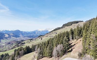 Rarität - Ferienhaus mit Freizeitwohnsitzwidmung in alpiner Naturlage in unmittelbarer Nähe von Kitzbühel zu verkaufen