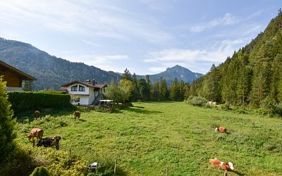 Gepflegtes Wohnhaus mit Einliegerwohnung in Naturlage