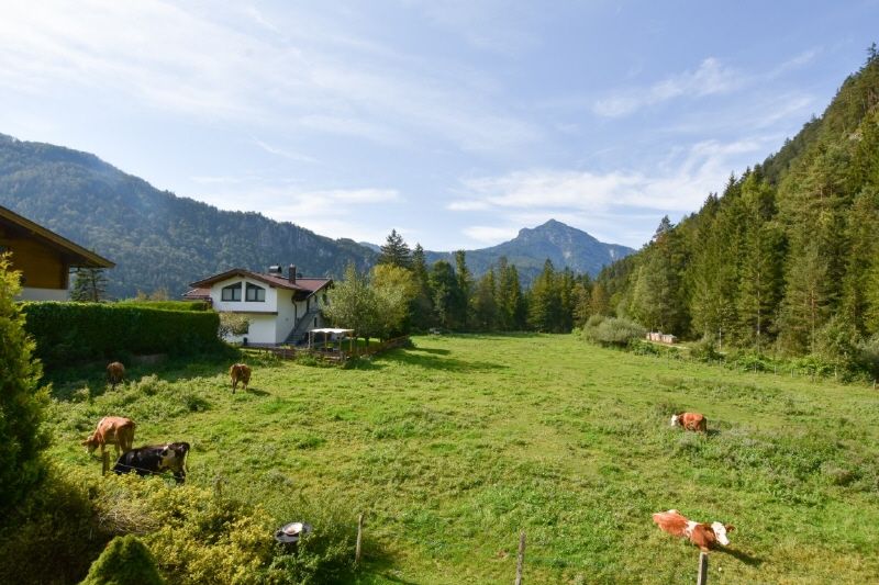 Gepflegtes Wohnhaus mit Einliegerwohnung in Naturlage