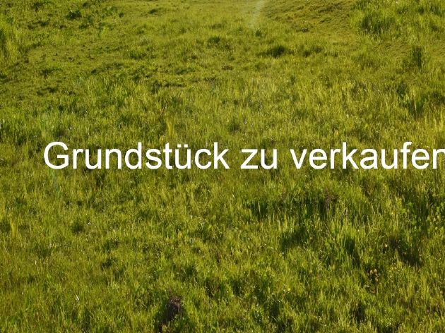 Großzügiges Grundstück in Traumlage