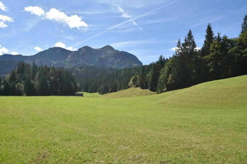 Mehrparteienhaus in Hochfilzen