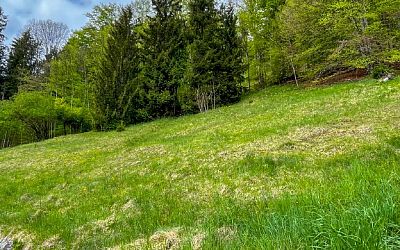 Hanggrundstück in traumhafter Sonnenlage