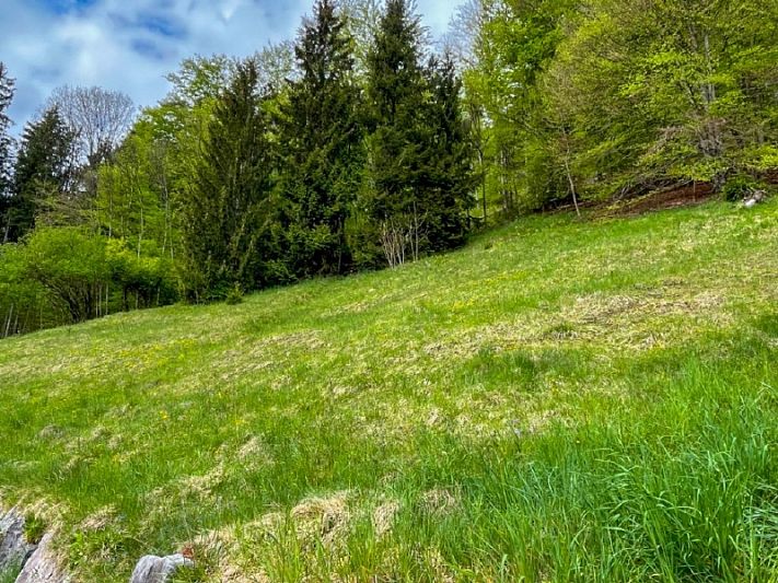 Hanggrundstück in traumhafter Sonnenlage