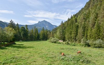 Gepflegtes Wohnhaus mit Einliegerwohnung in Naturlage