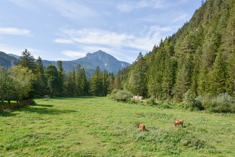 Gepflegtes Wohnhaus mit Einliegerwohnung in Naturlage