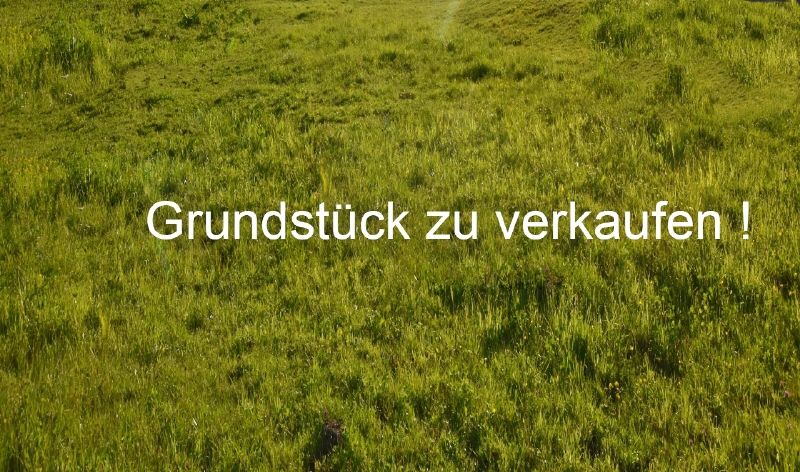 Großzügiges Grundstück in Traumlage