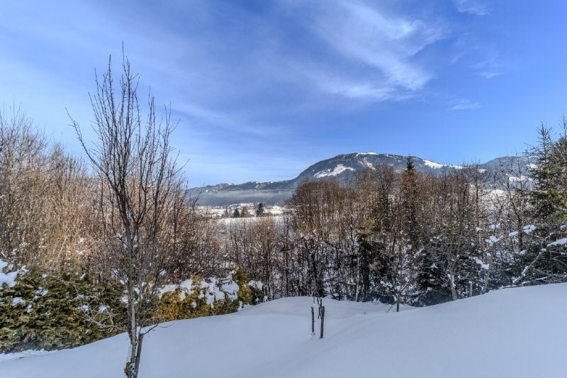 Gartenwohnung über den Dächern von St. Johann in Tirol