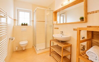 Nette vollmöblierte Kleinwohnung in Fieberbrunn